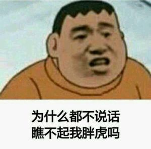 胖虎[網路流行語]