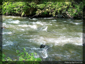 龍崗自然保護區