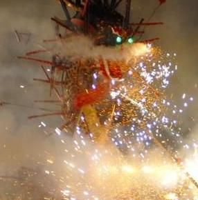 埔寨火龍 埔寨火龍