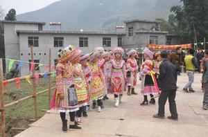 珙桐源花山節 珙桐源花山節