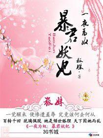 一夜為奴:暴君妖妃 一夜為奴:暴君妖妃