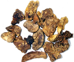 建水縣黃精寶植物食品廠