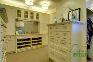 整體衣帽間 整體衣帽間