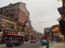 羅家鎮[江西省南昌市羅家鎮]