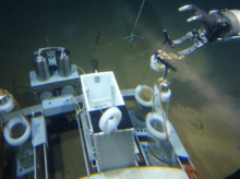 深海生物沉積物樣本