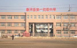 唐河縣一國中 唐河縣一國中