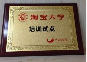 金岸學院 金岸學院