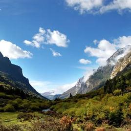 野牛溝景區 野牛溝景區