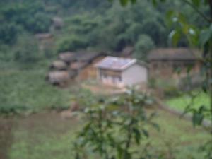 木東自然村全貌