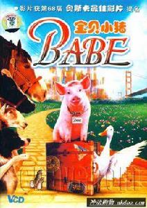 寶貝小豬 寶貝小豬