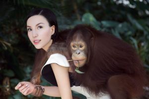 星丹與紅毛猩猩