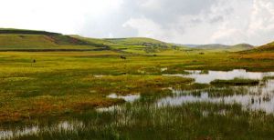 大山包黑頸鶴自然保護區