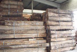 非洲花梨 非洲花梨