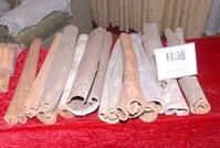 廣西肉桂產品桂通