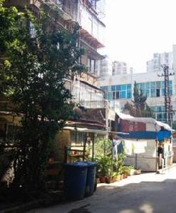 近華浦路 近華浦路