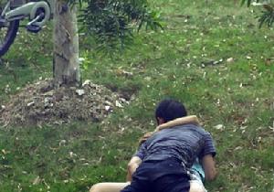 （圖）東平艷照