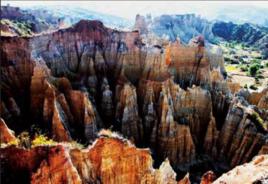 龍王廟組 龍王廟組