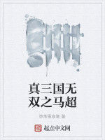 真三國無雙之馬超 真三國無雙之馬超