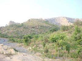 新鄉鳳凰山森林公園 新鄉鳳凰山森林公園