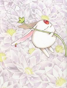 摩可拿·索埃爾·摩多基 摩可拿·索埃爾·摩多基