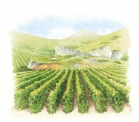 （圖）美味葡萄酒