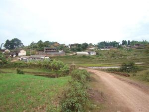 上下竹棚自然村 上下竹棚自然村