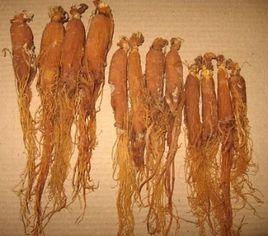 朝鮮紅參 朝鮮紅參