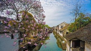 周莊[地理區域]