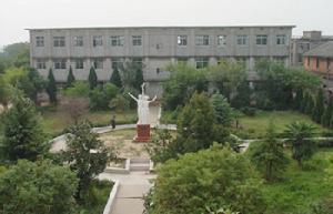 蔣巷中學 蔣巷中學