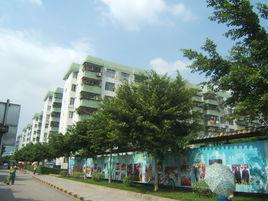 蓮花北村 蓮花北村