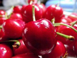 拉賓斯大櫻桃 拉賓斯大櫻桃