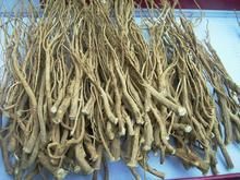 益胃昇陽湯 益胃昇陽湯