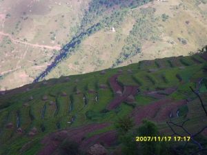 羊端田村 羊端田村