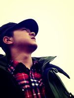 楊波[影視演員]