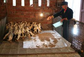 四川省廣安市濃溪鎮牛尾村