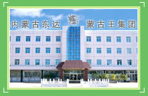 內蒙古東達蒙古王集團有限公司 內蒙古東達蒙古王集團有限公司