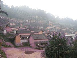 小箐村[華寧縣寧州鎮岔納村民委員會下轄村]