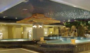 海納溫泉國際酒店 海納溫泉國際酒店