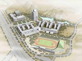 大運新城 大運新城