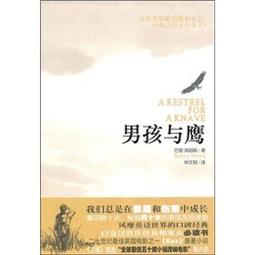 《男孩與鷹》 《男孩與鷹》