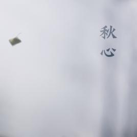 秋心[周雯靜演唱的原創單曲]
