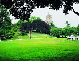 慈恩寺避暑 慈恩寺避暑