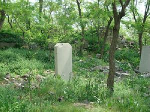 秀雲觀後殿遺址