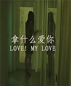 拿什麼愛你 拿什麼愛你