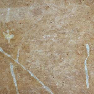 Pasha Gold Pasha Gold