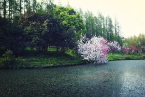 共青國家森林公園