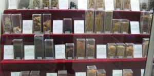 中醫大學醫藥博物館 中醫大學醫藥博物館