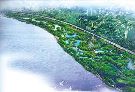 晉江市河口濕地公園 晉江市河口濕地公園