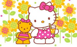 美麗的小花貓 美麗的小花貓