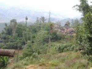 轉水河村 轉水河村